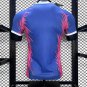 Tottenham Hotspur Blue Special 24/25 Player Soccer Football Futbol Adults Jersey