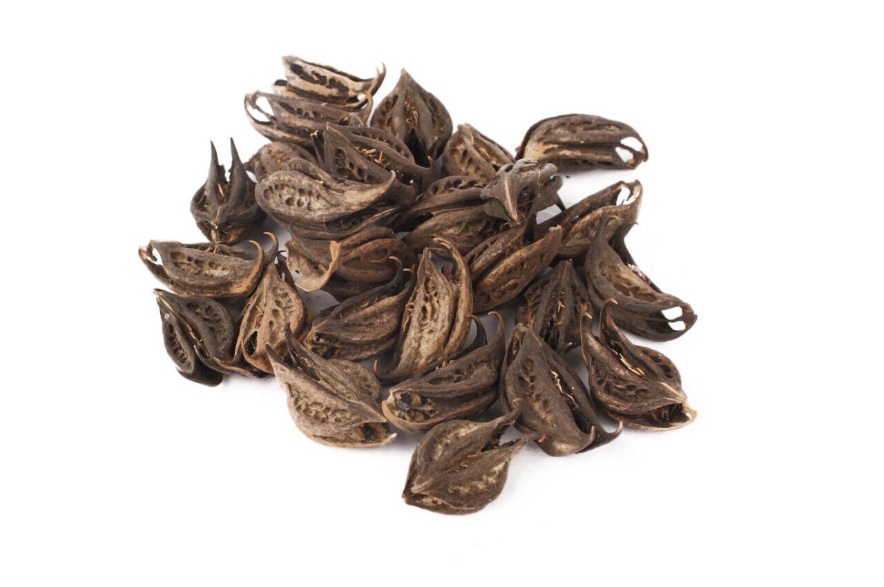 DEVILS CLAW  ORGANIC Bulk Herb,Harpagophytum procumbens Radix
