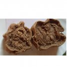 Balam Kheera Phal Balam Khira Fruit Kigelia Africana balam khira Dried Whole
