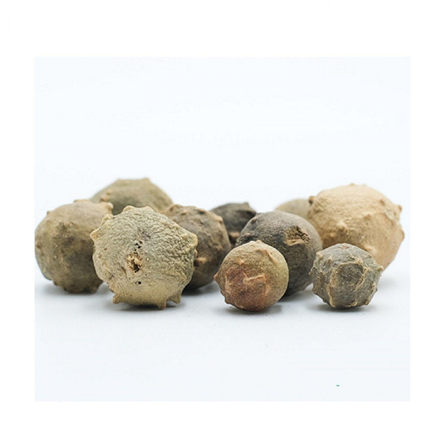 Gall Oak Aleppo oak Masikai Magic Nut Downy Oak Mayakku Mayaphal, MANJUPHAL