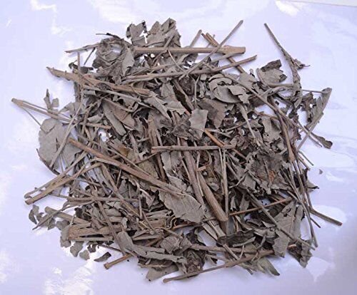 Sambhalu Leaves - Nirgundi Patta - Chaste Leaves - Nirgund - Vitex negundo