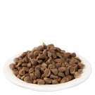 Beej Bidhara Asli  Vidhara Seeds  Vruddhadaru  Argyreia Speciosa Sweet