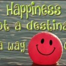 Custom License Plate With Happiness Is Not A Destination Its A Way Of Life