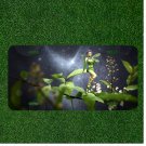Custom Personalized License Plate Auto Tag With Cute Fairy On Leaves Design