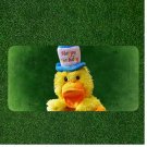 Custom Personalized License Plate Auto Tag With Happy Birthday Bird Funny