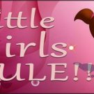 Custom Novelty License Plate Car Tag With Little Girls Rule