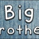 Custom Novelty License Plate Car Tag With Big Brother