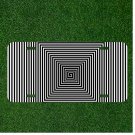 Custom Personalized License Plate Auto Tag With Optical Illusion Design