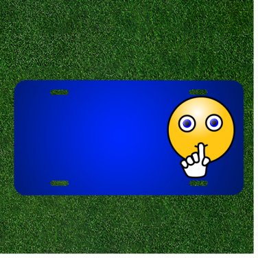 Custom Personalized License Plate With Add Names To Emoticon Quite Quiet Shoo