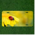 Creative License Plate Auto Tag With Lady Bug On Bright Yellow Flower Amazing