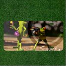 Custom Personalized License Plate Auto Tag With Frog Taking Picture Of Girl Frog