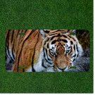 Creative License Plate Auto Tag With Tiger Giving Stare With Yellow Eyes