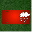 Custom Personalized License Plate With Add Names To Weather Forecast Symbol