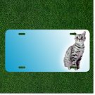 Custom Personalized License Plate Auto Tag With Blue Background Cat Add Names