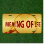 Hand Magnifying Glass Meaning Of Life Custom Novelty License Plate Car Tag