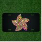 Custom Personalized License Plate Auto Tag With Stunning Wacky Color Star Design