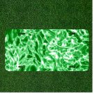 Custom Personalized License Plate Auto Tag With Green Wacky Fun Design NEW
