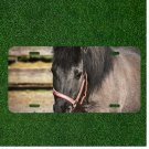 Creative License Plate Auto Tag With Amazing Black Horse View