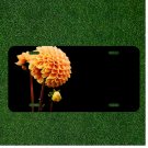 Custom Personalized License Plate Auto Tag With Flower Design Add Names