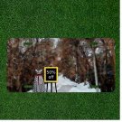 Custom Personalized License Plate Auto Tag With 50% Off Snow Design