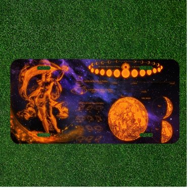 Custom Personalized License Plate Auto Tag With Amazing Creative Planet Design