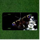 Fractalius Peacock Butterfly Nature Custom Novelty License Plate Car Tag