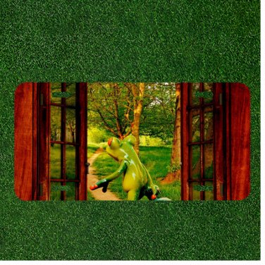 Custom Personalized License Plate Auto Tag With Frog In Gorgeous View
