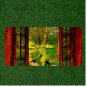 Custom Personalized License Plate Auto Tag With Frog In Gorgeous View