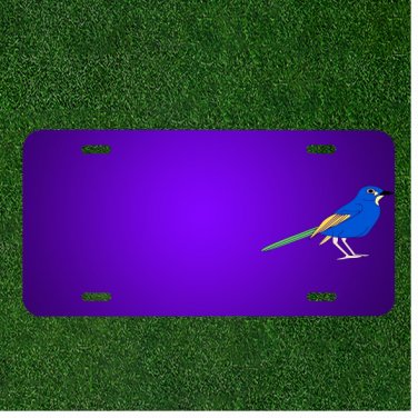 Custom Personalized License Plate With Add Names To Bird Animal Blue Green