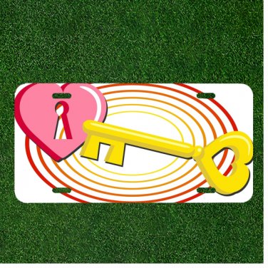 Custom Personalized License Plate Auto Tag With Key To Pink Heart Lock NEW