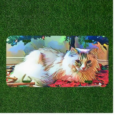 Custom Personalized License Plate Auto Tag With Colorful Cartoon Cat Design NEW