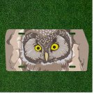 Bird Hole Nature Owl Owl Owl Owl Custom Novelty License Plate Car Tag