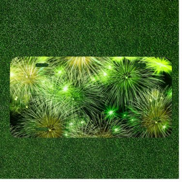 Custom Personalized License Plate Tag With Green Fire Works Design Add Numbers