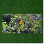 Creative License Plate Auto Tag With Yellow Bird In Trees View