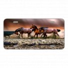 Custom Personalized License Plate Auto Tag With Amazing View Of Three Horses