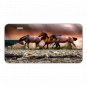 Custom Personalized License Plate Auto Tag With Amazing View Of Three Horses