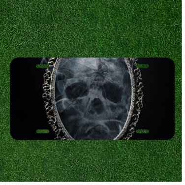 Custom Personalized License Plate Auto Tag With Skull In Miror Scary Design