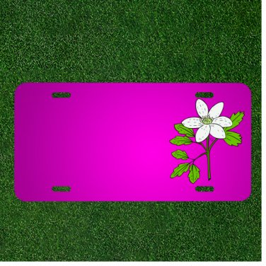 Custom Personalized Car License Plate With Add Names To Anemone Plant Flower