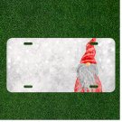 Custom Personalized License Plate Auto Tag With Santa Claus Elf Add Names