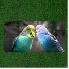 Creative License Plate Auto Tag With Two Blue Parrot Like Birds View