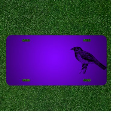 Custom Personalized License Plate With Add Names To Bird Perched Tree Branch