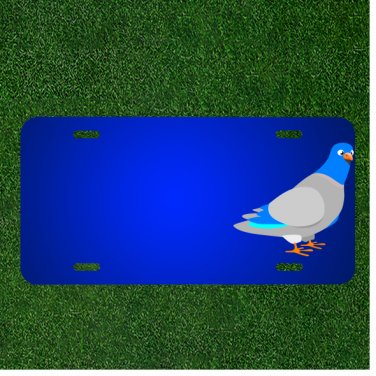 Custom Personalized License Plate With Add Names To Dove Bird Animal Pigeon