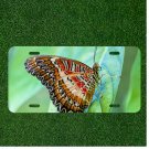 Creative License Plate Auto Tag With Amazing Colorful Butterfly View
