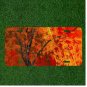 Custom Personalized License Plate Auto Tag With Amazing Fall Flowers Design Tree