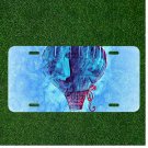 Custom Personalized License Plate Auto Tag With Hot Air Balloon Fancy Design