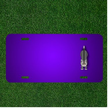 Custom Personalized License Plate With Add Names To Animal Cat Top View
