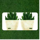 Creative License Plate Auto Tag With Two Pots Full Of Green Cactuses