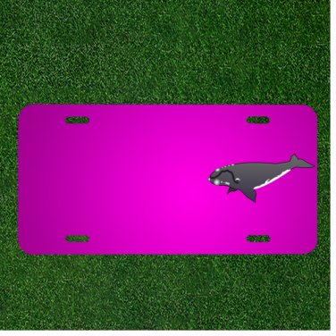 Custom Personalized Car License Plate With Add Names To Whale Swimming Ocean