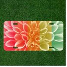 Custom Personalized License Plate Auto Tag With Stunning Rainbow Color Flowers