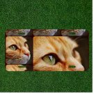 Custom Personalized License Plate Auto Tag With Amazing Cat Close Up Design
